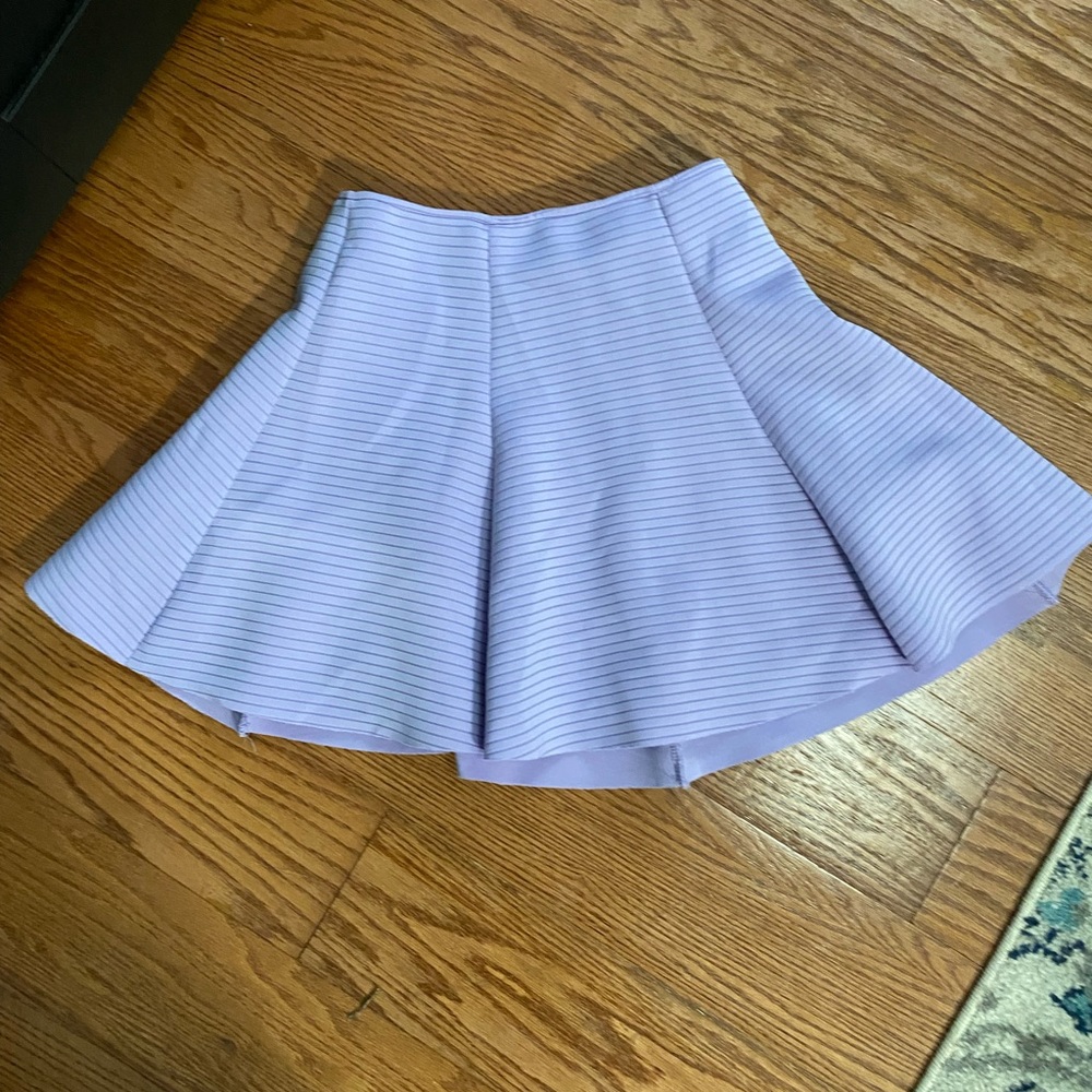 Honey Punch skirt